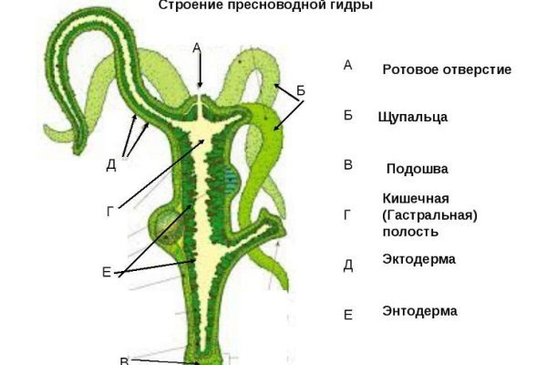 Кракен интернет магазин