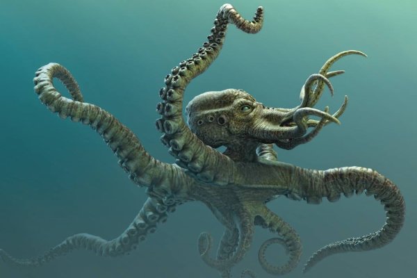 Kraken зеркало стор